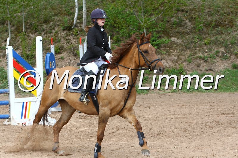 004M2258_D.Ss Wanna Dolt_Stilspring WB.JPG